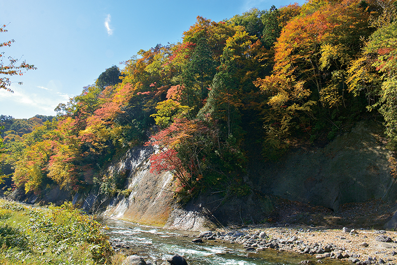 橋場街道 舟原の紅葉