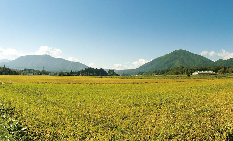 御所街道の男助山と女助山