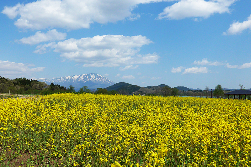 御所湖 町場地区園地