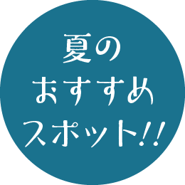 夏のおすすめスポット